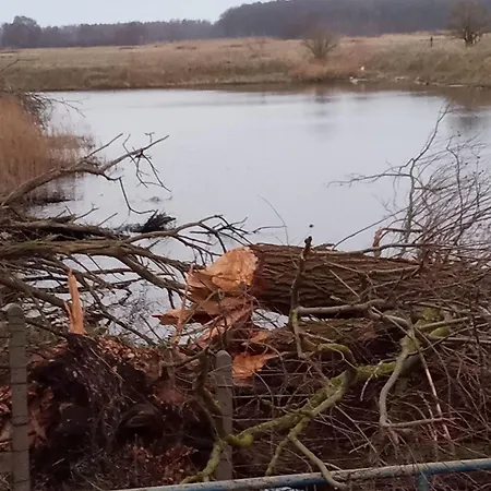 Fischstuebchen Neeberg 2 - Achterwasser Holiday home