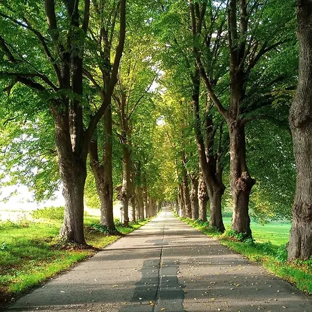 Дом отдыха Fischstuebchen Neeberg 2 - Achterwasser *