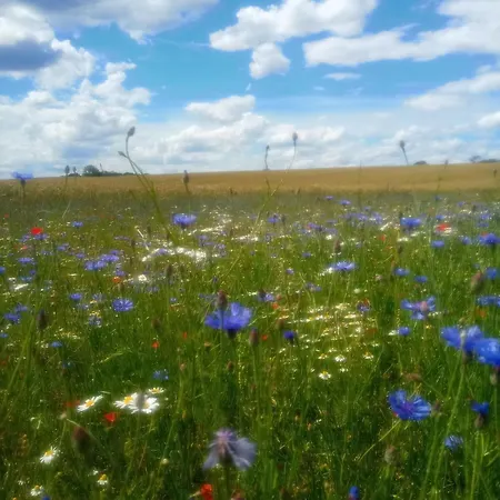Fischstuebchen Neeberg 2 - Achterwasser Дом отдыха