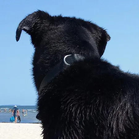 Fischstuebchen Neeberg 2 - Achterwasser Nyaraló