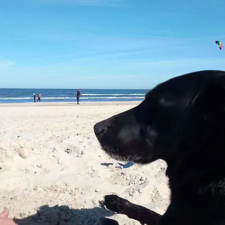 Nyaraló Fischstuebchen Neeberg 2 - Achterwasser *