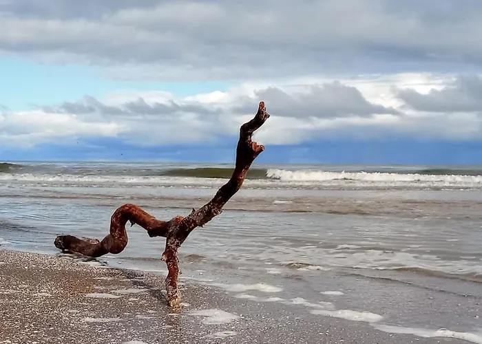 Fischstuebchen Neeberg 2 - Achterwasser Dom wakacyjny Krummin