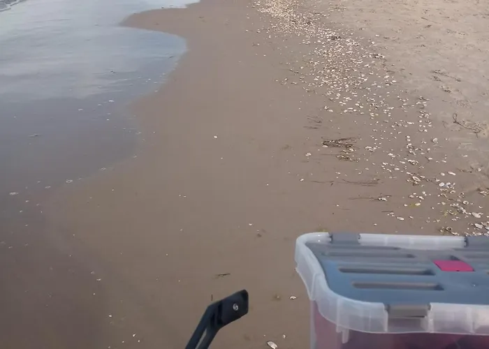 Dom wakacyjny Fischstuebchen Neeberg 2 - Achterwasser