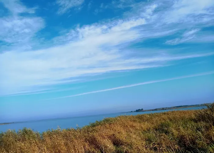 Fischstuebchen Neeberg 2 - Achterwasser Dom wakacyjny *