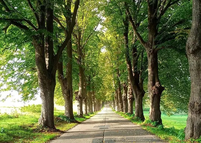 Dom wakacyjny Fischstuebchen Neeberg 2 - Achterwasser *