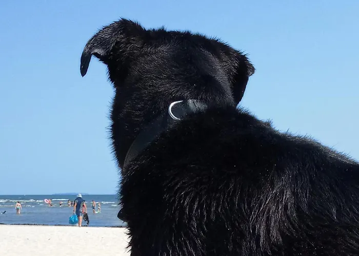 Fischstuebchen Neeberg 2 - Achterwasser Dom wakacyjny