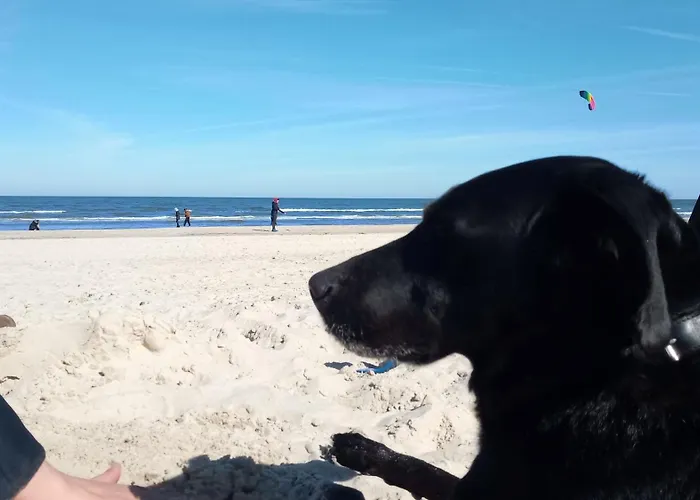 Dom wakacyjny Fischstuebchen Neeberg 2 - Achterwasser *